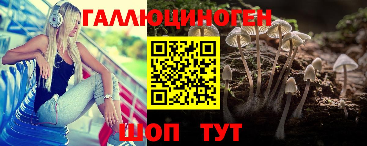 Псилоцибиновые грибы ЛСД  даркнет сайт  Клинцы  Вход с VPN 