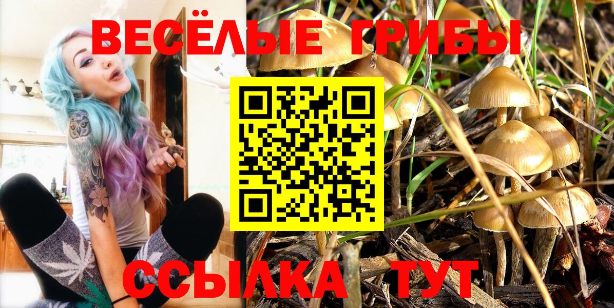 Галлюциногенные грибы мицелий Клинцы